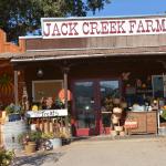 Cambria_0395 (November 01, 2013)